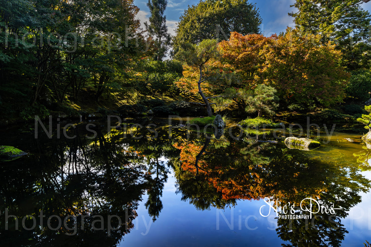 Gallery cover image featuring scenic photography from around New Zealand by Nic's Pics Photography.